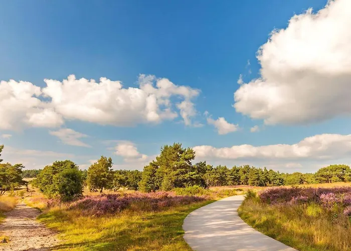 Modern & Convenient *