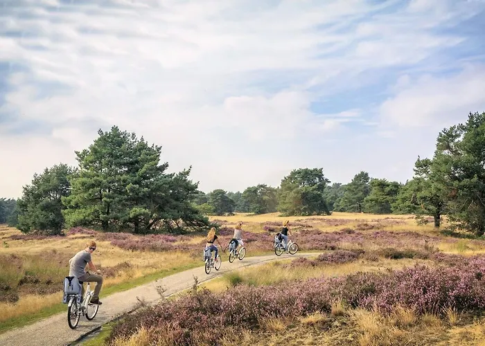 Modern & Convenient Arnhem